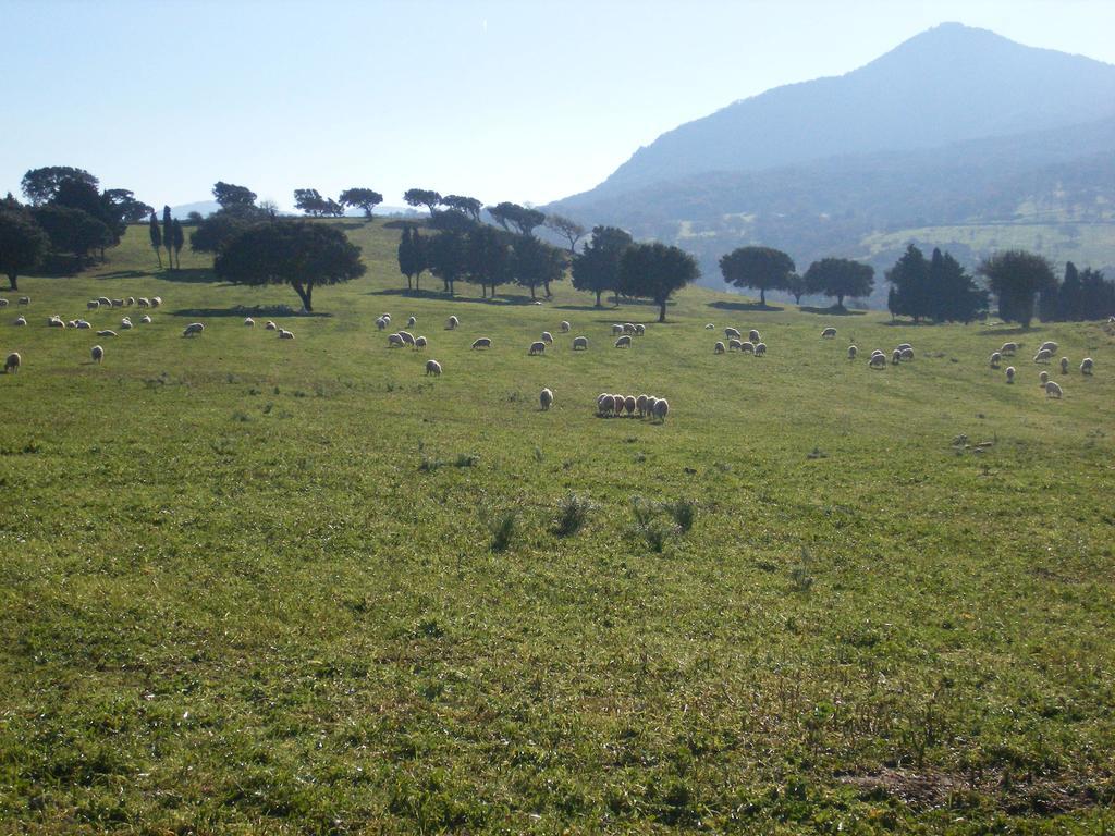 Villa Agriturismo Usurtala Orani Exterior foto